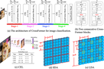 CrossFormer: A Versatile Vision Transformer Hinging on Cross-scale Attention